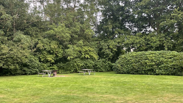 Bild på grönområde med bänkar med bord