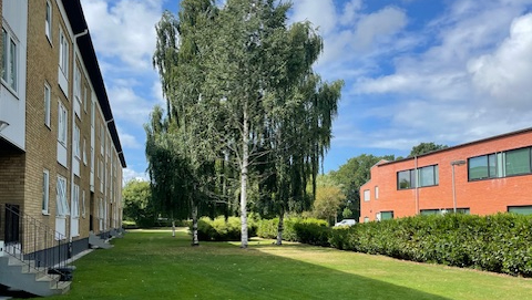Bild på föreningens hus med träd och gräsmatta