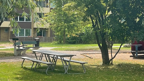 Bild på parkbänkar och bord under ett träd
