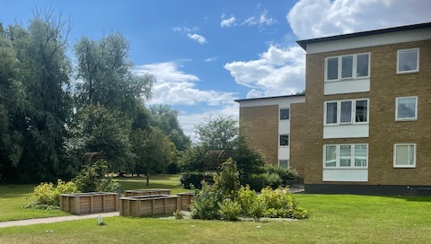 Bild på blomsterlådor med föreningens hus i bakgrunden